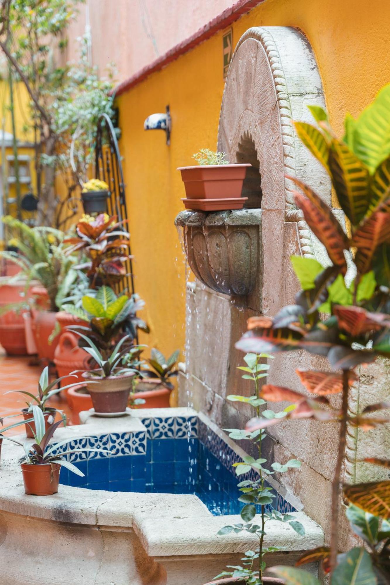 Hotel Suites Del Centro Oaxaca Dış mekan fotoğraf